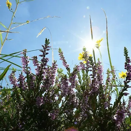 Haus Seewind Hs23 Apartment